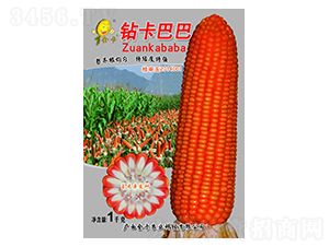 �@���Ͱ�-���׷N��-���r(n��ng)�I(y��)