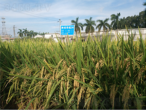 �ك�(y��u)�A��36-ˮ���N��-�V��