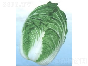 ��(qi��ng)���ײ�-�ײ˷N��-�V��