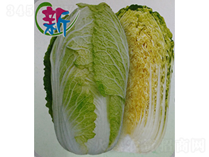 CR����602��ײ�-�ײ˷N��-�V��