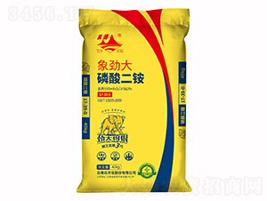 ��Ŵ�������@17-39-0-�Ʒ廯��