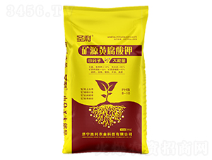 �VԴ�S�����-ʥ��-�����r(n��ng)�I(y��)