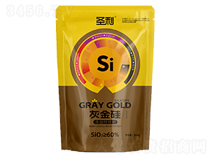 �ҽ��-ʥ��-�����r(n��ng)�I(y��)