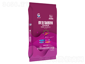 ��Ƿ�΢���������10�|�����-�w����-�S�ؾ�