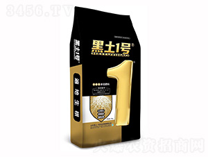 ������⛹����ԓ������17-17-17-����1̖(h��o)