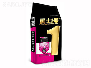 �����ԏ�(f��)�Ϸ���12-5-25-����1̖