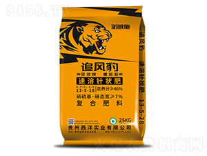 ����ᘠ��13-5-28-׷�L(f��ng)��-�Z��ʩ����