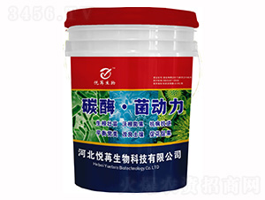 ̼ø������-����