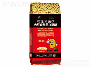 ����֬���׾���-΢�������-����