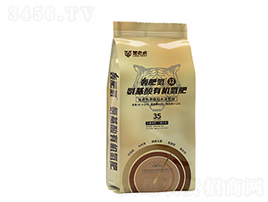 �Z�ʵ��������ЙC(j��)����-���ϻ�-�|���r(n��ng)�ʘI(y��)