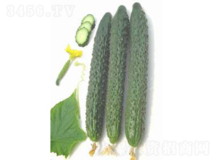 GL03-2�S��-�S�ϷN��-�V��