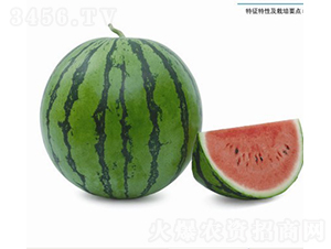 ����������-���ϷN��-�V��