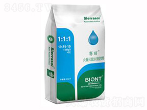 ِ������Ԫ��ˮ�ܷ�19-19-19-������