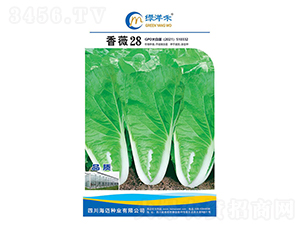 ��ޱ28-�ײ˷N��-�G���