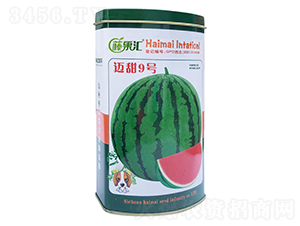 �~��9̖(h��o)-���ϷN��-�ٹ��R-���~��(gu��)�H