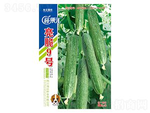 ����9̖(h��o)-�S�ϷN��-�ٹ��R-���~��(gu��)�H