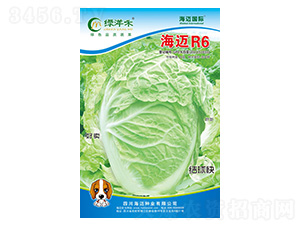 ���~R6-��ײ˷N��-���~���H