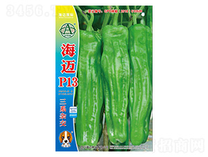 ���~P13-�����N��-���~���H