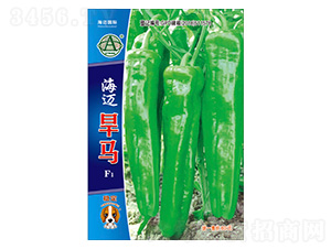 ���~���R-�����N��-���~���H