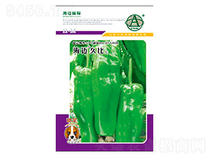 ���~�ñ�-�����N��-���~���H