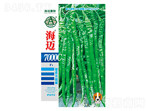 ���~7000C-�����N��-���~���H