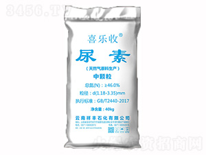 46%���w������-ϲ����