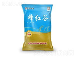 ��t��-���ӷN��-�����N�I(y��)