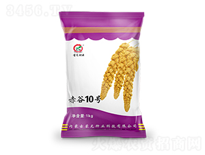 ���10̖(h��o)-���ӷN��-�����N�I(y��)