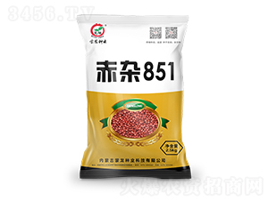 ���s851-�����N��-�����N�I(y��)