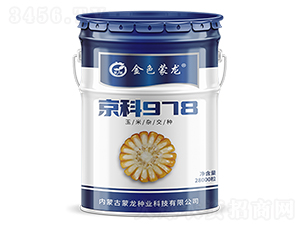 ����978��28000����-���׷N��-�����N�I(y��)