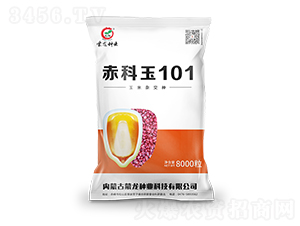 �����101-���׷N��-�����N�I(y��)