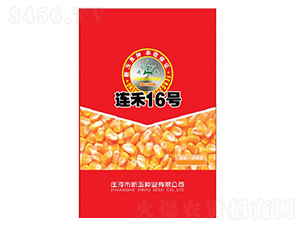 �B��16̖-���׷N��-����N�I(y��)