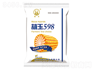 ����598-���׷N��-����N�I(y��)