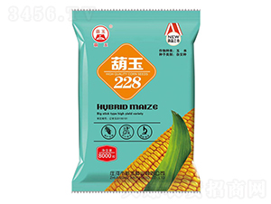 ����228-���׷N��-����N�I(y��)