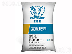 �����͏�(f��)�����15-15-15-������