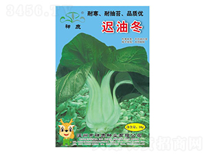 �t�Ͷ�-�๣�˷N��-��¹�N�I(y��)