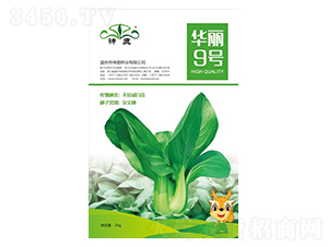 �A��9̖-�๣�˷N��-��¹�N�I(y��)