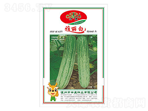 ������-�S�ϷN��-��¹�N�I(y��)