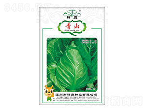 ��ɽ���{�N��-��¹�N�I(y��)