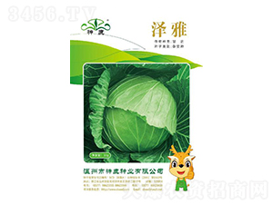 ���Ÿ��{(l��n)�N��-��¹�N�I(y��)