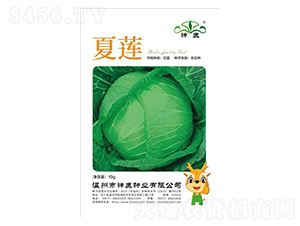 ��ɏ���{(l��n)�N��-��¹�N�I(y��)