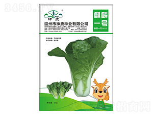 ����һ̖(h��o)��˷N��-��¹�N�I(y��)