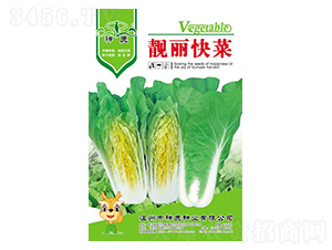 �n����˷N��-��¹�N�I(y��)