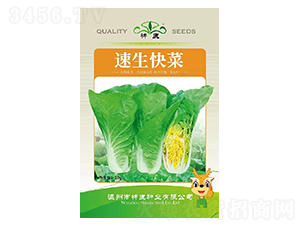 ������˷N��-��¹�N�I(y��)