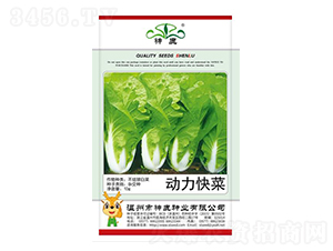 ��(d��ng)����˷N��-��¹�N�I(y��)