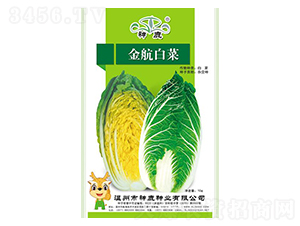 �𺽰ײ˷N��-��¹�N�I(y��)