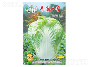 ����6̖(h��o)�ײ˷N��-��¹�N�I(y��)