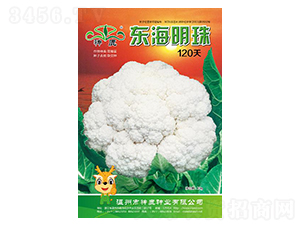 �|������120��-��Ҭ�˷N��-��¹�N�I(y��)