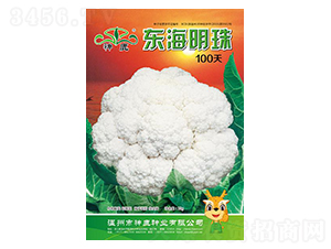 �|������100��-��Ҭ�˷N��-��¹�N�I(y��)