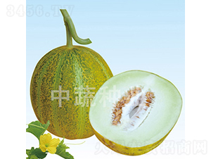 IVF192-��ϷN��-���߷N�I(y��)